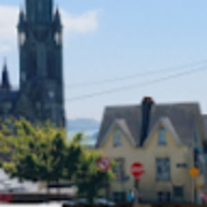 Meet your Posher, Annabel